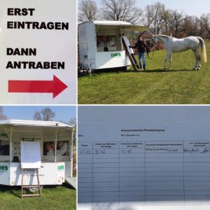 Platzregeln